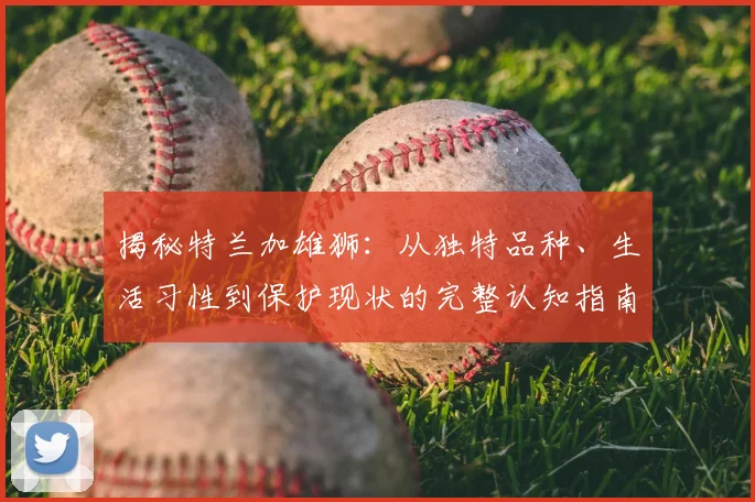 揭秘特兰加雄狮：从独特品种、生活习性到保护现状的完整认知指南